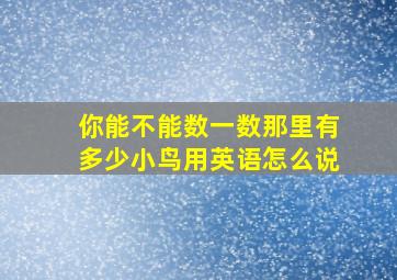 你能不能数一数那里有多少小鸟用英语怎么说