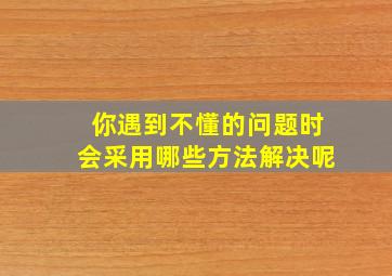 你遇到不懂的问题时会采用哪些方法解决呢