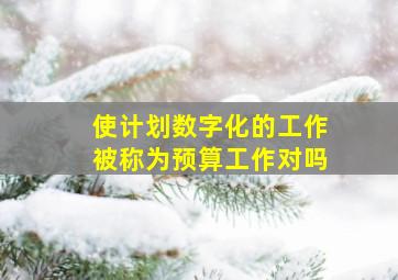 使计划数字化的工作被称为预算工作对吗