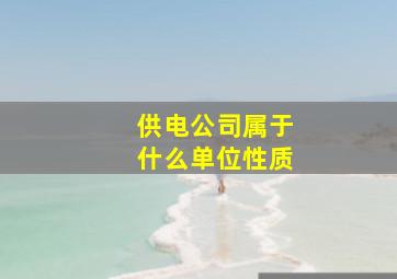 供电公司属于什么单位性质