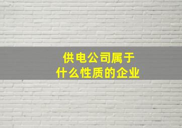 供电公司属于什么性质的企业