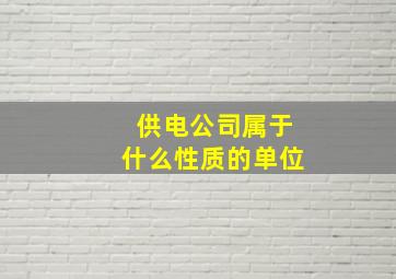 供电公司属于什么性质的单位