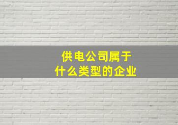 供电公司属于什么类型的企业