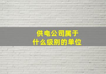 供电公司属于什么级别的单位