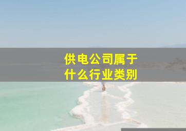 供电公司属于什么行业类别