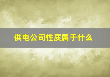 供电公司性质属于什么