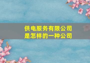 供电服务有限公司是怎样的一种公司