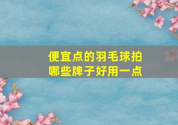 便宜点的羽毛球拍哪些牌子好用一点