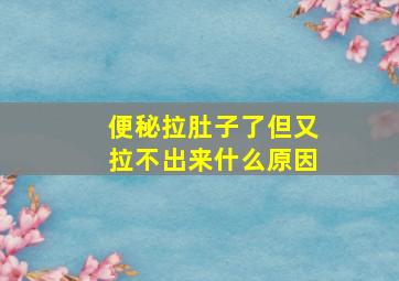 便秘拉肚子了但又拉不出来什么原因