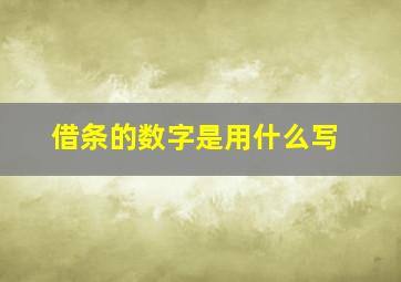 借条的数字是用什么写