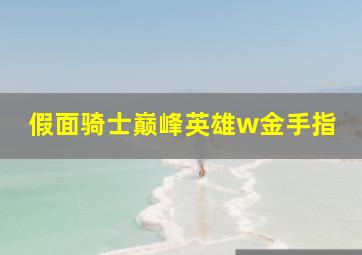 假面骑士巅峰英雄w金手指