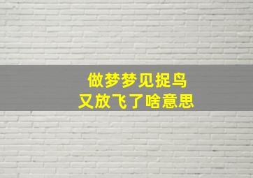 做梦梦见捉鸟又放飞了啥意思