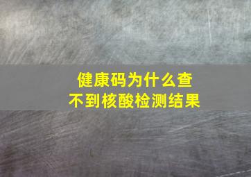 健康码为什么查不到核酸检测结果