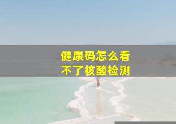 健康码怎么看不了核酸检测