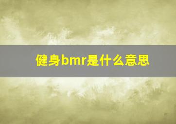 健身bmr是什么意思