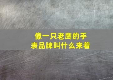 像一只老鹰的手表品牌叫什么来着