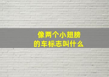 像两个小翅膀的车标志叫什么