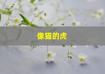 像猫的虎