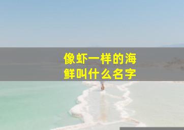 像虾一样的海鲜叫什么名字