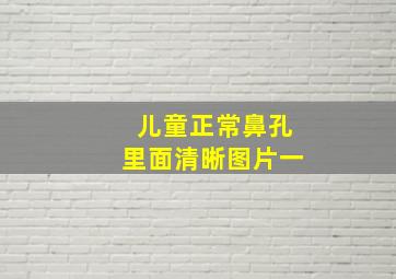 儿童正常鼻孔里面清晰图片一