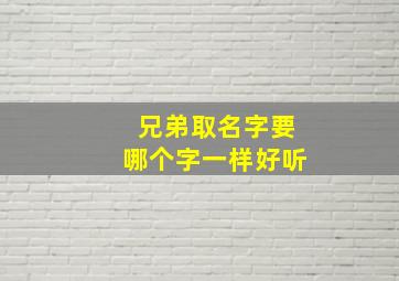 兄弟取名字要哪个字一样好听