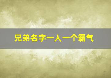 兄弟名字一人一个霸气