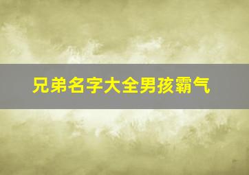 兄弟名字大全男孩霸气