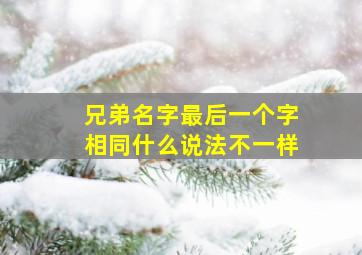 兄弟名字最后一个字相同什么说法不一样