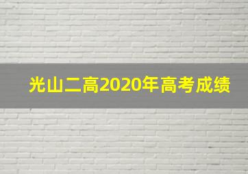 光山二高2020年高考成绩