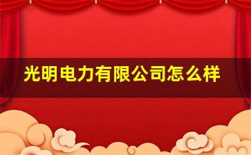 光明电力有限公司怎么样