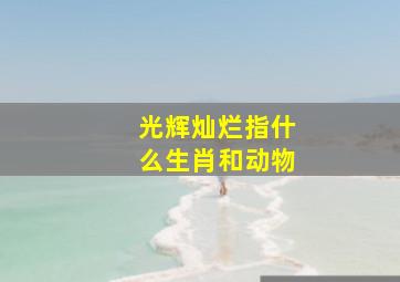 光辉灿烂指什么生肖和动物