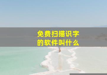 免费扫描识字的软件叫什么