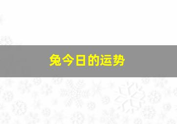 兔今日的运势