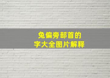 兔偏旁部首的字大全图片解释