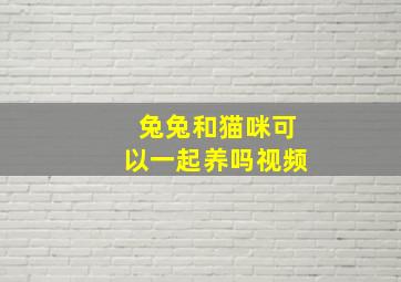 兔兔和猫咪可以一起养吗视频