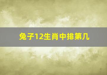 兔子12生肖中排第几