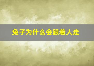 兔子为什么会跟着人走