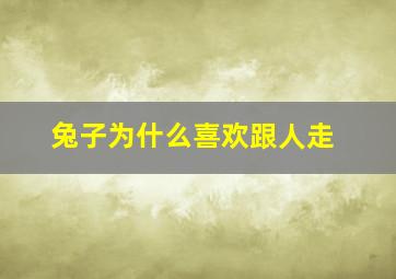 兔子为什么喜欢跟人走