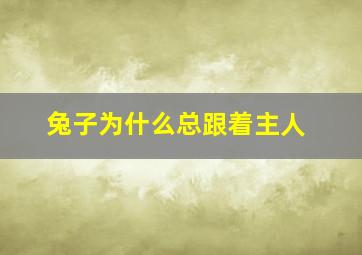 兔子为什么总跟着主人