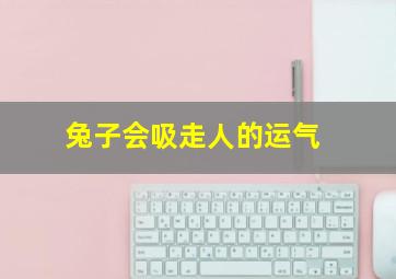 兔子会吸走人的运气