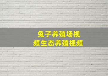 兔子养殖场视频生态养殖视频