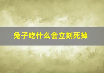 兔子吃什么会立刻死掉