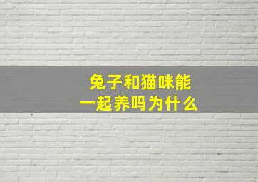 兔子和猫咪能一起养吗为什么