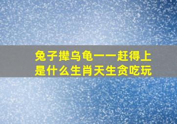 兔子撵乌龟一一赶得上是什么生肖天生贪吃玩