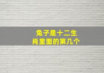 兔子是十二生肖里面的第几个