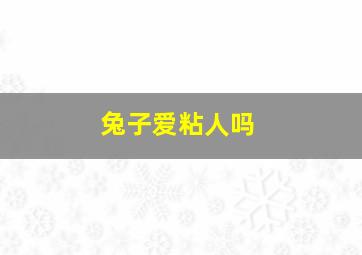 兔子爱粘人吗