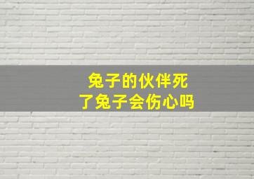 兔子的伙伴死了兔子会伤心吗