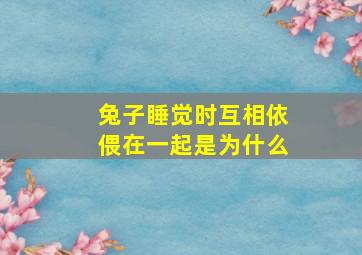 兔子睡觉时互相依偎在一起是为什么