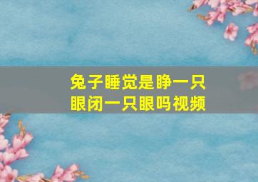 兔子睡觉是睁一只眼闭一只眼吗视频