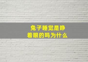 兔子睡觉是睁着眼的吗为什么